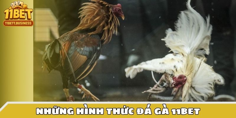 Những hình thức đá gà 11BET